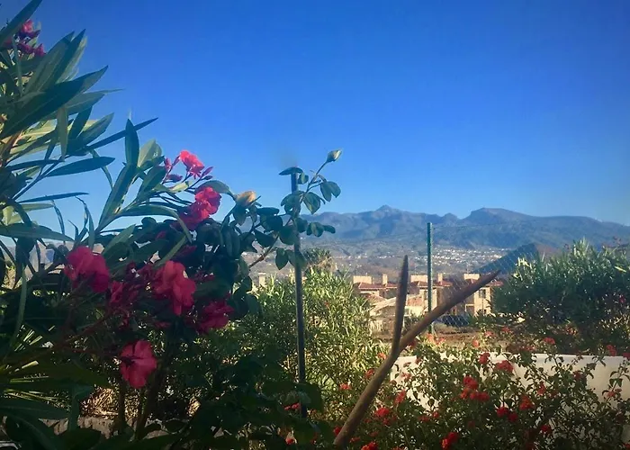 Cosy Flat Near Golf Club - Heated Pool, Terrace, Garden, Wi-fi San Miguel de Abona