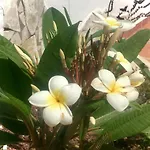 Cosy Flat Near Golf Club - Heated Pool, Terrace, Garden, Wi-fi شقة سان ميغيل ذي أبونا